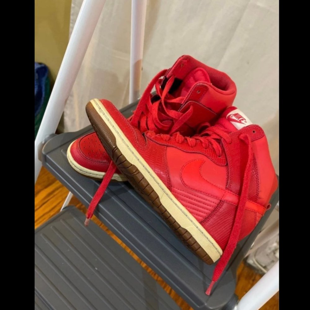 Nike Dunk Sky Hi